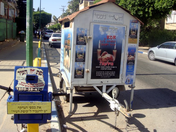 Charity Box-Sacrifice-Street