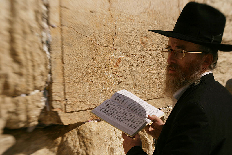 Reading-Torah-Western Wall