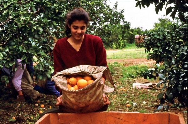 Gan-Shmuel_-_in_the_orchard_1987