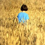 Israeli child-wheat field