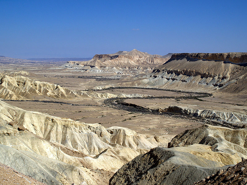 Zin Valley-Negev Desert-Israel