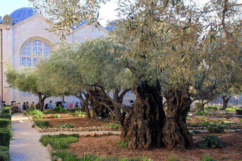 Garden-Gethsemane-Church-Nation