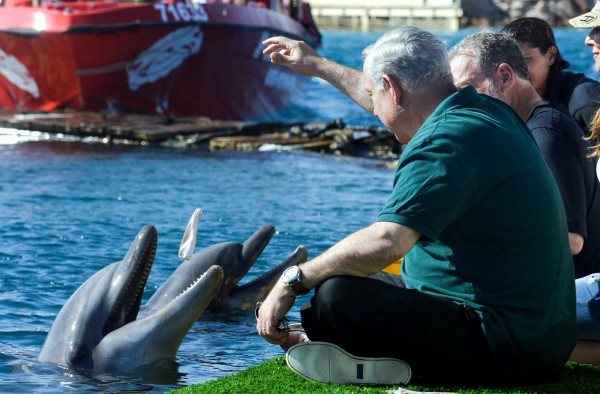 Netanyahu, Greenberg, Royal Tour, Dolphin Reef, Eilat 2013