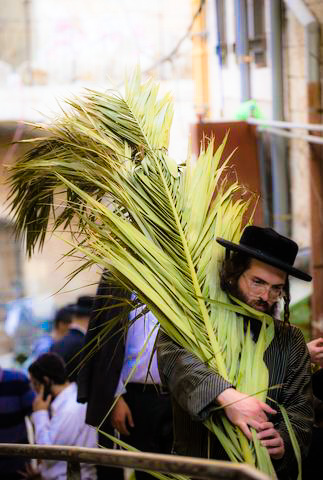 Chasidim-Carrying-Palm-Branches