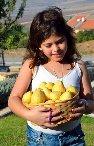 guava-basket-Israel-girl