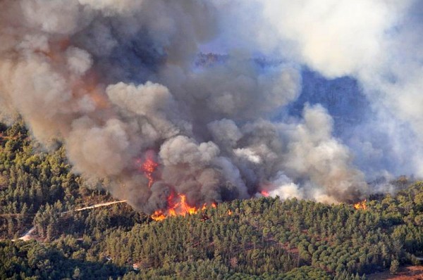 Mount_Carmel_forest_fire