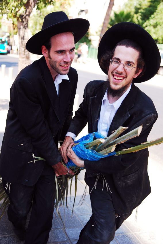 palm branches-Sukkot