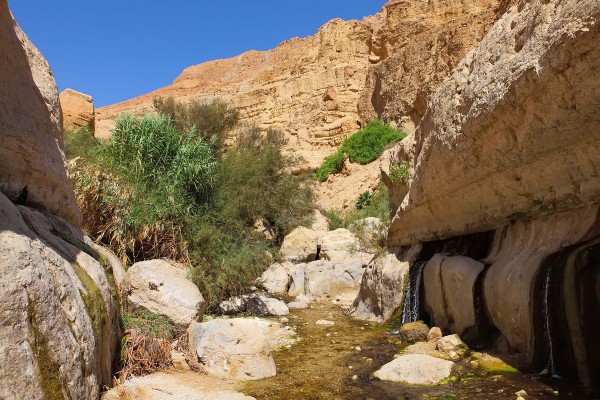 ein_gedi, david, psalms