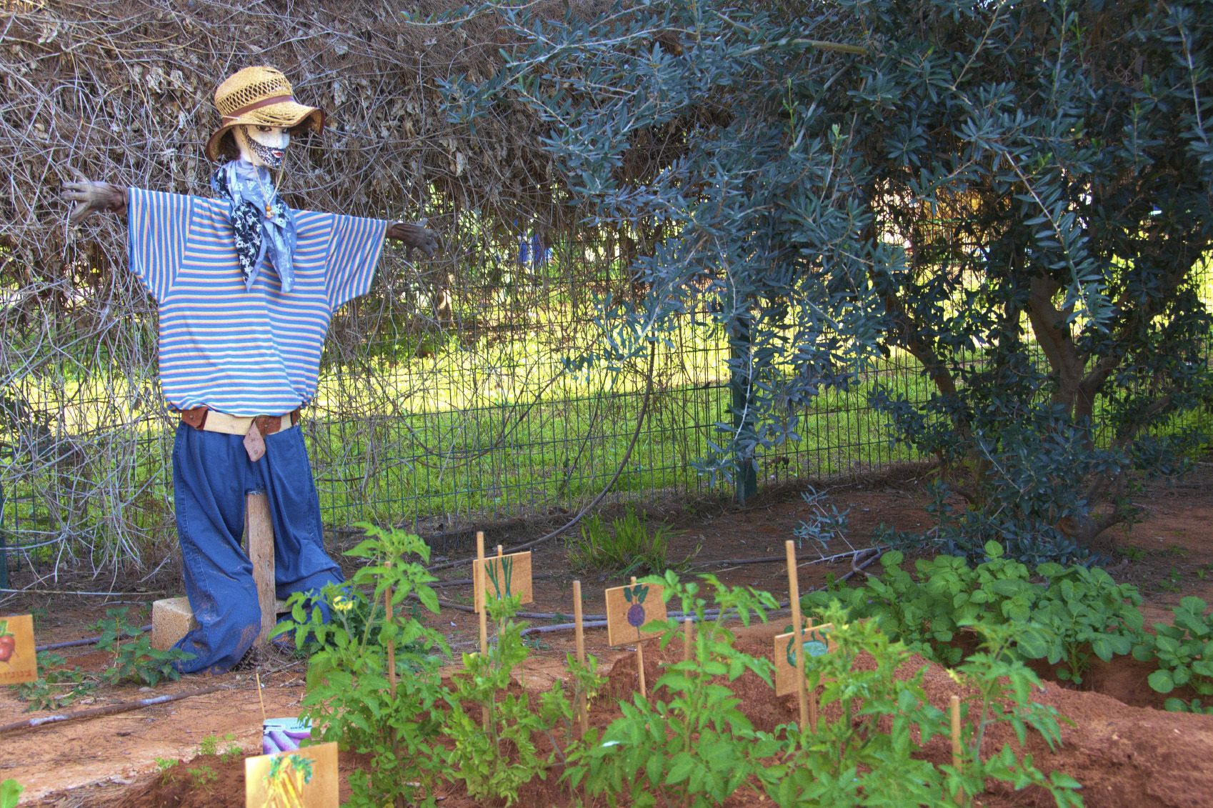 Scarecrow-kibbutz-Israel