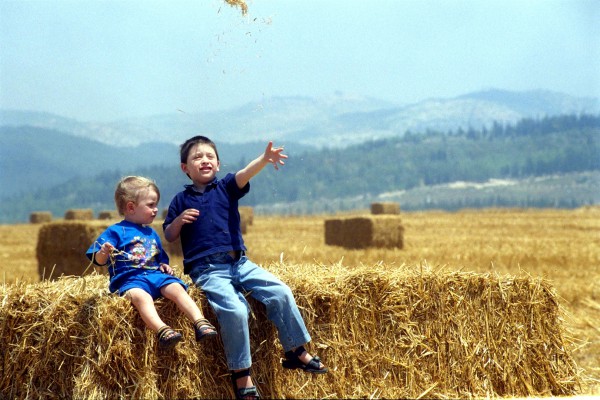 Israel-Harvest-Hay