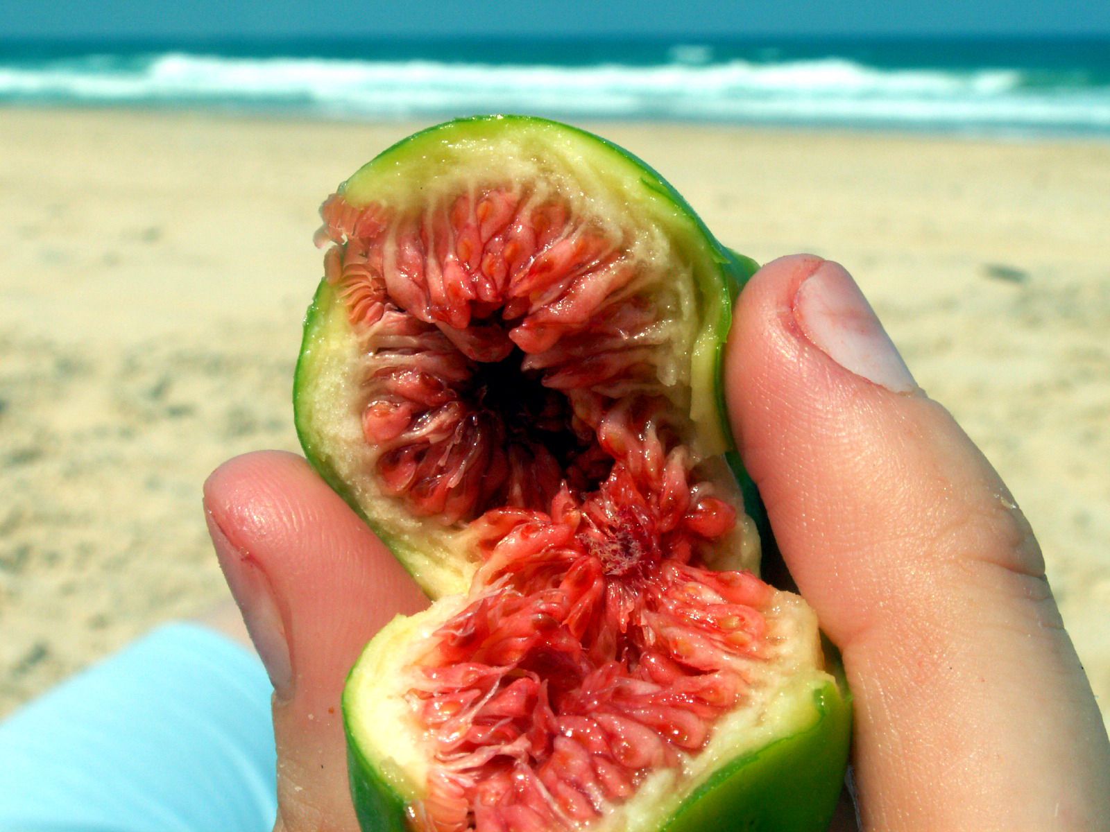 Fresh-fig-Israel-beach