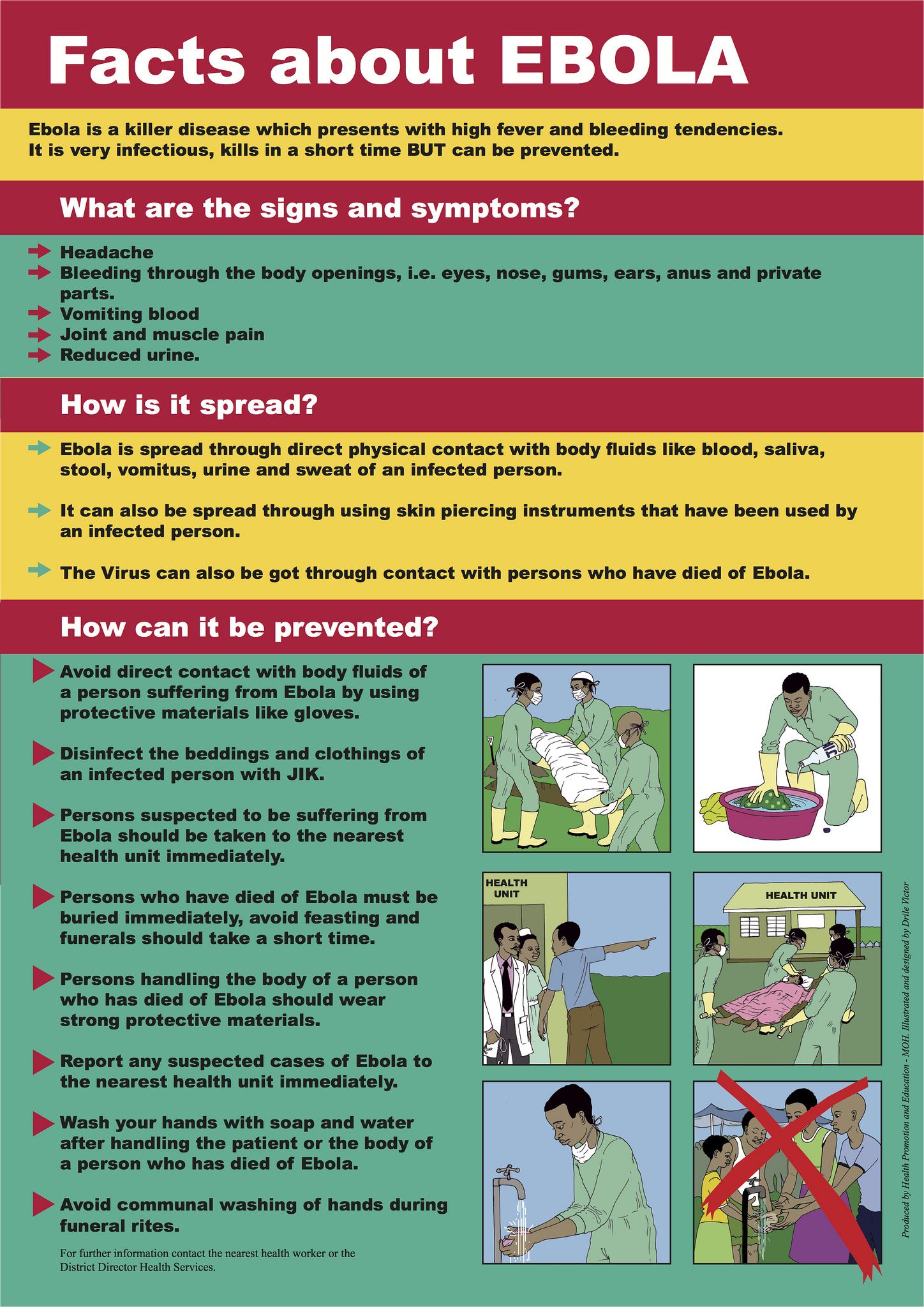 Ebola Fact Sheet