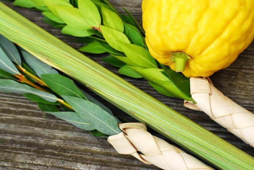 Four Species-Four Kinds-Arba Minim-Sukkot