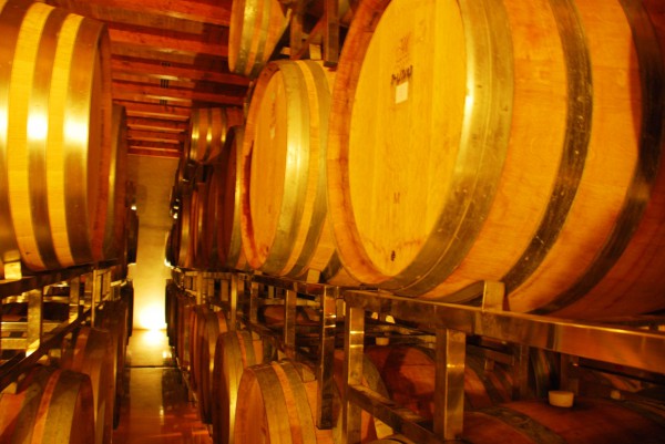 Barrels of Israeli wine