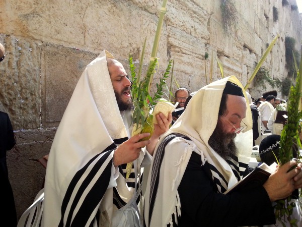 lulav-Kotel-prayer-Sukkot-Western-wall-Jerusalem