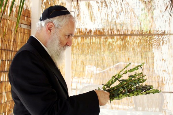 Sukkah-rabbi-myrtle