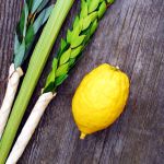 Lulav-and-Etrog-vertical