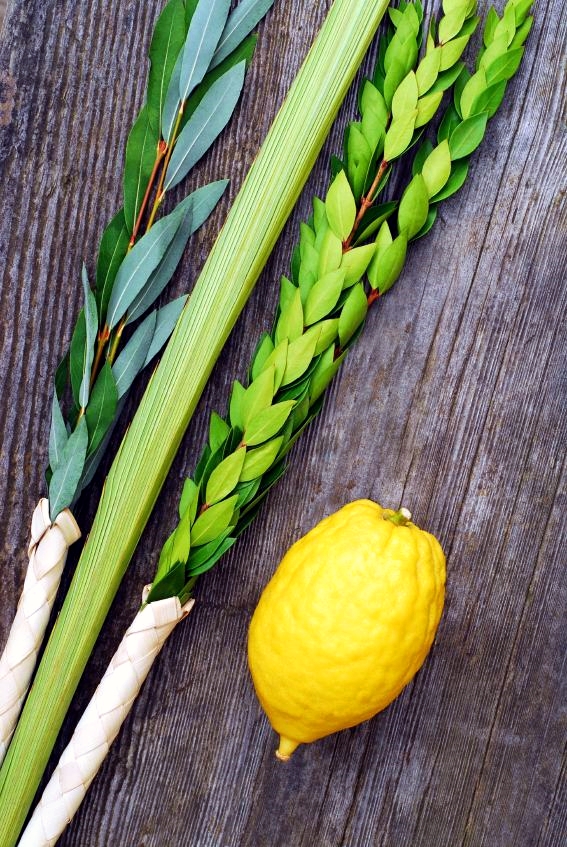 Lulav-Etrog-vertical