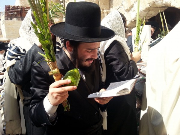 lulav-etrog-Kotel-Sukkot-praying-four kinds