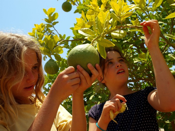 Children at Eshbah farm in Israel's Negev Desert