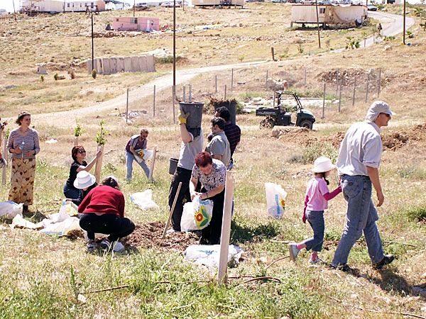 Planting trees at Ma'aleh Rehavim