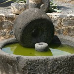 Ancient olive press-Capernaum-Israel