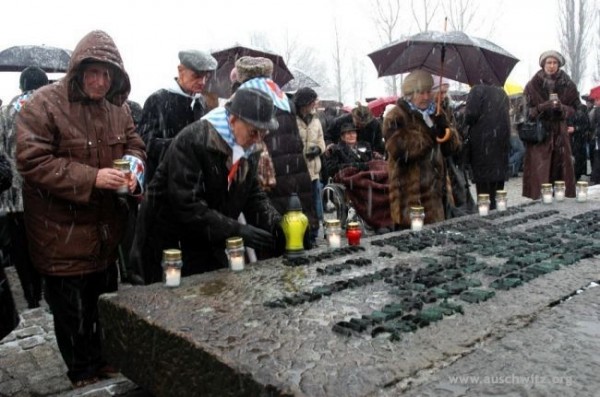 Holocaust survivors light memorial candles at the 63rd anniversary of the liberation of Auschwitz.