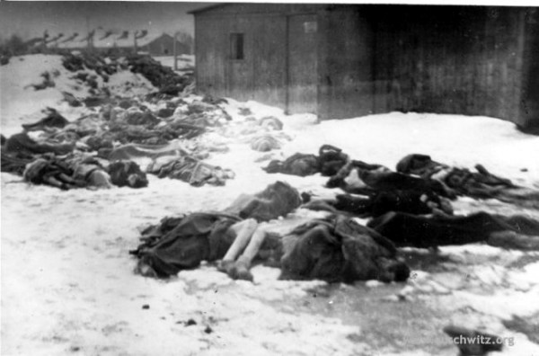 Auschwitz inmates murdered before liberation on January 17, 1945