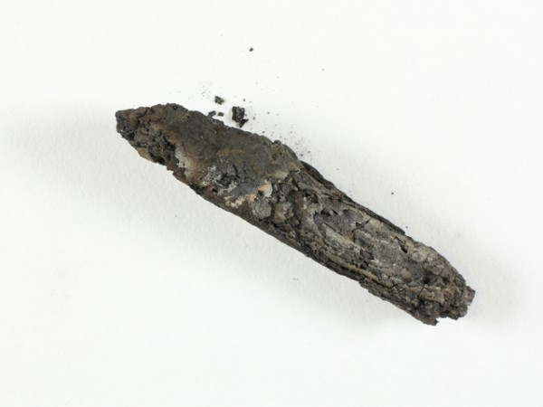 charred Leviticus scroll