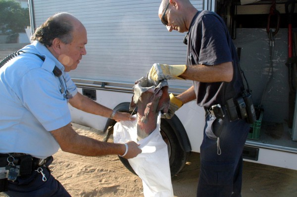 Two Sderot policemen put a Kassam rocket inside a bag, moments after landing and moments before moving it to the Kassam museum.