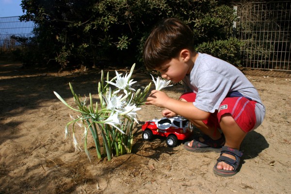 boy-Israel-flowers-toy-child-play