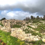 Shomron-pot shards