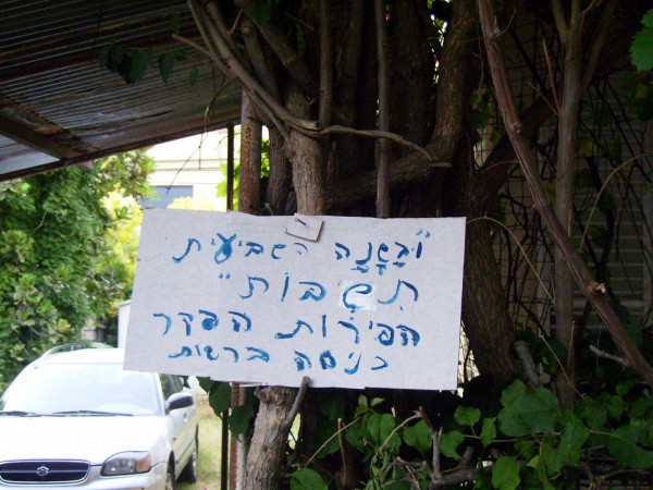 A resident of Holon, Israel, has posted a sign stating the fruits on the trees in his backyard are hefker (abandoned property) during the Shemitah year.