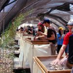 Temple Mount-debris-rubble-archaeology