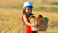 Shavuot-Israeli-child-fruit-vegetables-basket