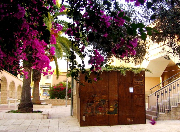 Sukkot-Feast of Tabernacle-Feast of Booths