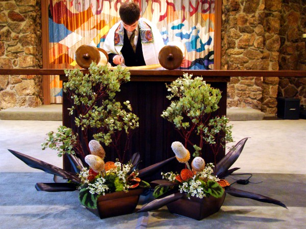 Bar Mitzvah boy-Torah scroll-synagogue