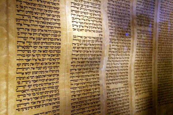 parchment-klaf-Torah scroll on display