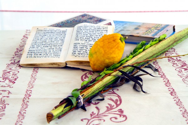 Sukkot-lulav-date palm frond-etrog-citron-hadass-myrtle-aravah (willow), and etrog (citron).