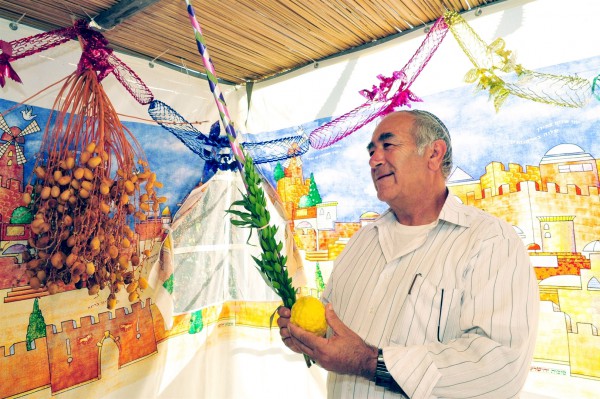 arba miniim, four species, sukkah