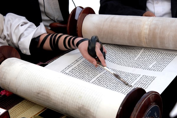  Orthodox Jews reads Torah scroll with yad (hand pointer)